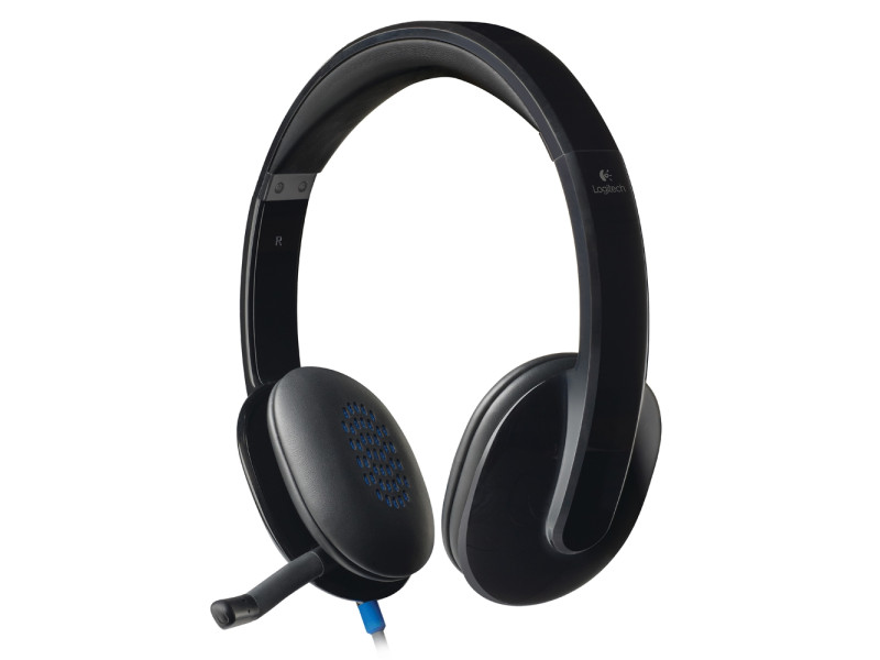 Logitech H540 Headset (Black, Wired USB)